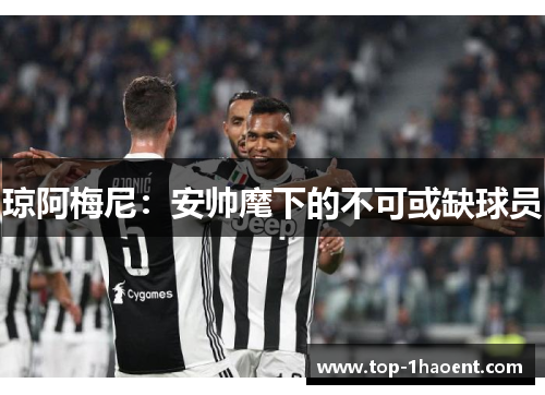 琼阿梅尼：安帅麾下的不可或缺球员