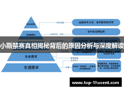 小斯禁赛真相揭秘背后的原因分析与深度解读